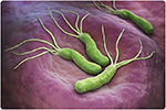 helicobactger pylori