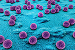 staphylococcus_01